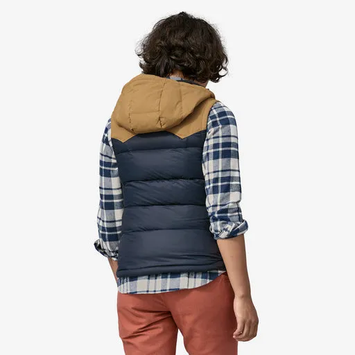 Patagonia Women's Bivy Hooded Vest